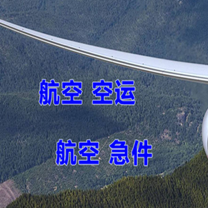 音布鲁克航空快递快递-选东方航空和上海航空