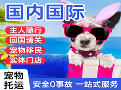 音布鲁克航空快递国际宠物托运 【国
