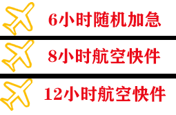 音布鲁克航空快递快递公司,专业空运当天件